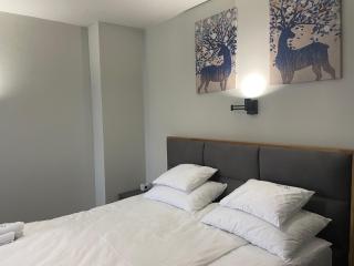Apartman Mist - Bela Reka Kopaonik - Brzeće - 4
