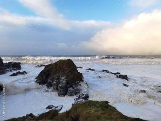 Cosy Coastal Cottage in Portballintrae - Portballintrae - 8