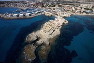 Norwegian Woods - Abedules - El Campello - 2