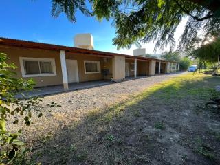 Olivares de Krishna - 6