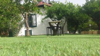 Duplex House - Palermo - 4