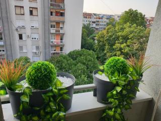 Aurora 2 - Novi Sad - 7
