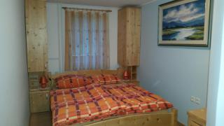 Guest house Pr Ambružarju & Apartments - Cerklje na Gorenjskem - 7