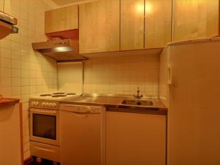 Grand duplex pour 8 personnes avec balcon à 100m des pistes - FR-1-455-229 - 6