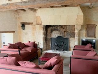 Gîte de charme avec jardin au cœur des châteaux, WiFi, parking inclus - FR-1-381-543 - Benais - 8