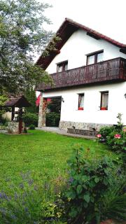 Studio 45 sqm with mountain view - Porumbacu de Sus - 2