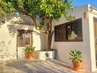 Casa Venus - Sabinosa - 8