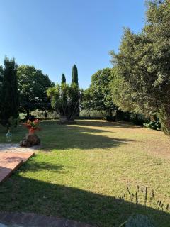 casaluna - Suvereto - 2