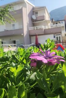 Nessa & Meli - Makarska (Macarsca) - 0