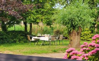 LUXE Bloemenzicht 4 personen, BnB, 10 minuten van zee - Breezand - 3