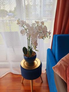 Apartament Comfort I Kołobrzeg - Kołobrzeg - 4