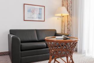 Wyndham Garden Donaueschingen - Donaueschingen - 9