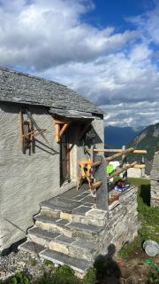 Chalet SOLE - Bosco Gurin - 1