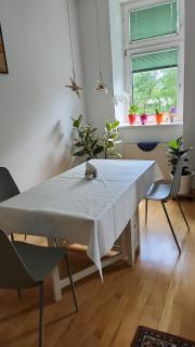 Schoene Altbauwohnung Wien Zentrum Brigittenauer Lände 32 - Wien - 9