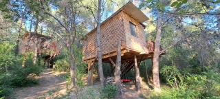 TreeHouses Ljubač Glamping Robinson - Ljubač - 3
