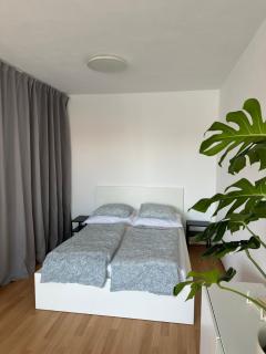 Apartmán ERUDITO XXVI centrum Jihlava - 2