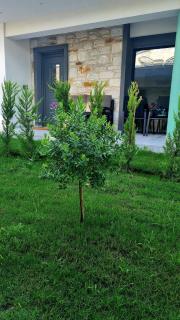 Danielli Luxury Villas - Skala Rachoniou - 8