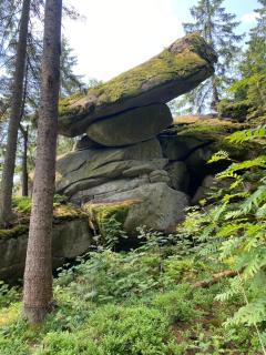 Ferienhaus Plöckenstein - 8