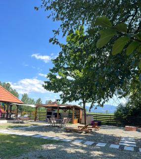 Casa cu Flori Maramures - Baia Mare - 7