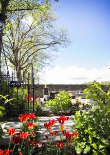 The Raeburn - Edinburgh - 3
