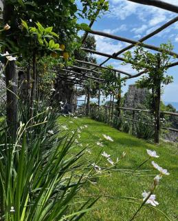 Casa del Capitano - Conca dei Marini - 5