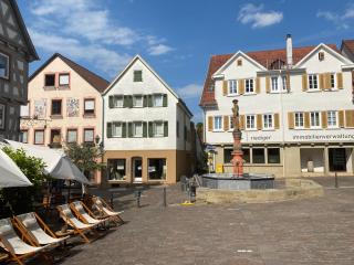 Marktblick-Besigheim - Besigheim - 8