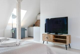 High Standard studio. Old town. - Varsavia - 5