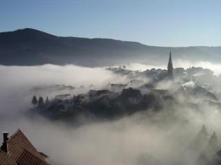 Am Keschtewaeldele **** - Forbach - 7