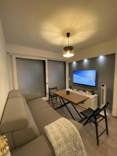 Appartement centre/Gare Proche de Genève - 1