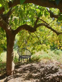 Vegan Guesthouse Finca Pereila - Coín - 9