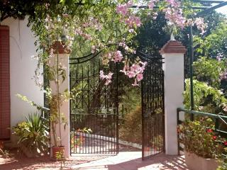 Finca Santa Matilde Málaga - Málaga - 7