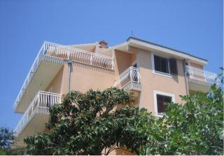 Cvita Olive 1 - Brodarica - 4