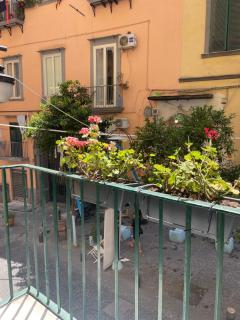 Caterina 70 - Napels - 4