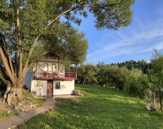 Casa de sub Salcie - Curtea de Argeş - 2