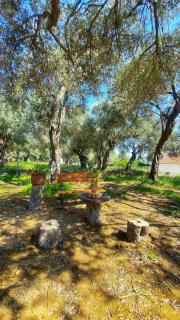 Coratina Cottage - Ulcinj - 7