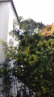 Bel appartement-terrasse Ronce-les-Bains - La Tremblade - 5