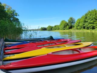 Borowe Chatki nad Lubiszewem - 9