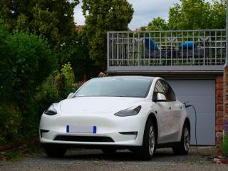 Le Jardin des Roses - Saverne - 7