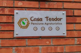 Casa Teodor - 9