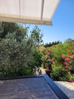 "L'Hippocampe Cosy House " - Fréjus - 9