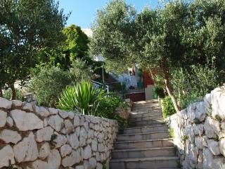 Beachfront apartments Ljubljeva - 4