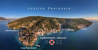 Rose - Apartmani Janovic - Luštica - 9