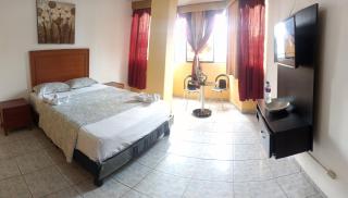 Olmedo Plaza Hotel - Guayaquil - 0