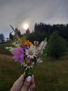 Tarska kuća za odmor - Bajina Bašta - 4