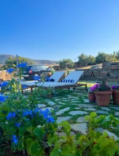 Gorgeous private Villa with sea view! - Andros - 5