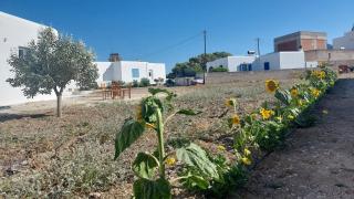 Saint Barbara luxury home - Prodromos Paros - 6