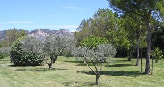 MAS LAURIE - Cheval-Blanc - 8