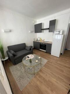 Magnifique T1 Bis entièrement refait à neuf - 1