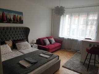 Newly refurbished central - Praga - 0