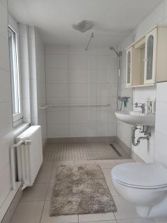 Ferienwohnung Ludwigslust - Ludwigslust - 1